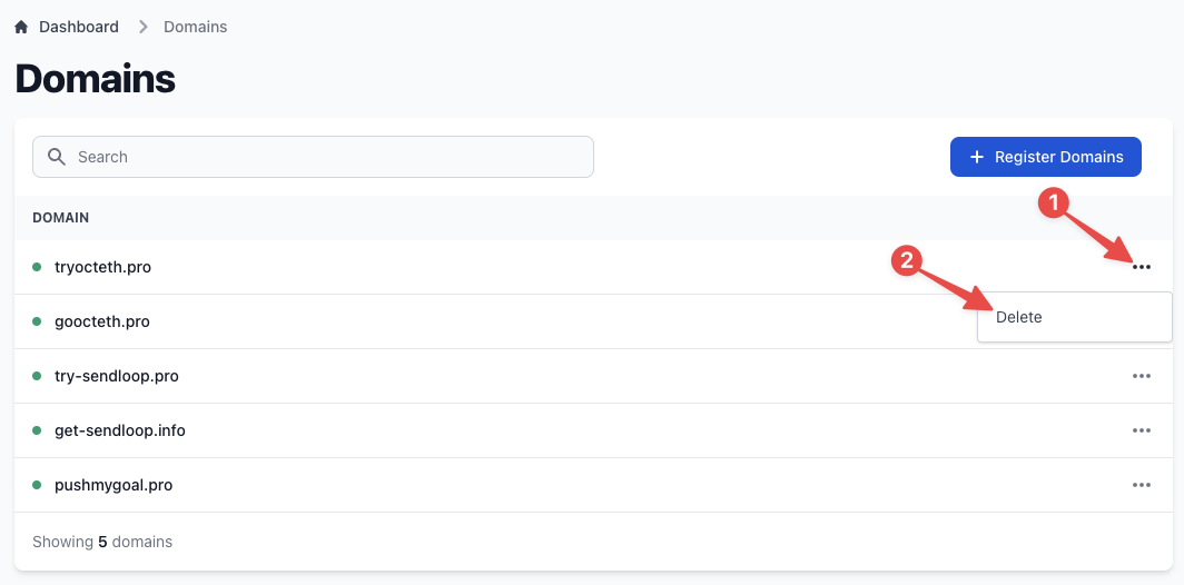 Domain management interface showing the delete option